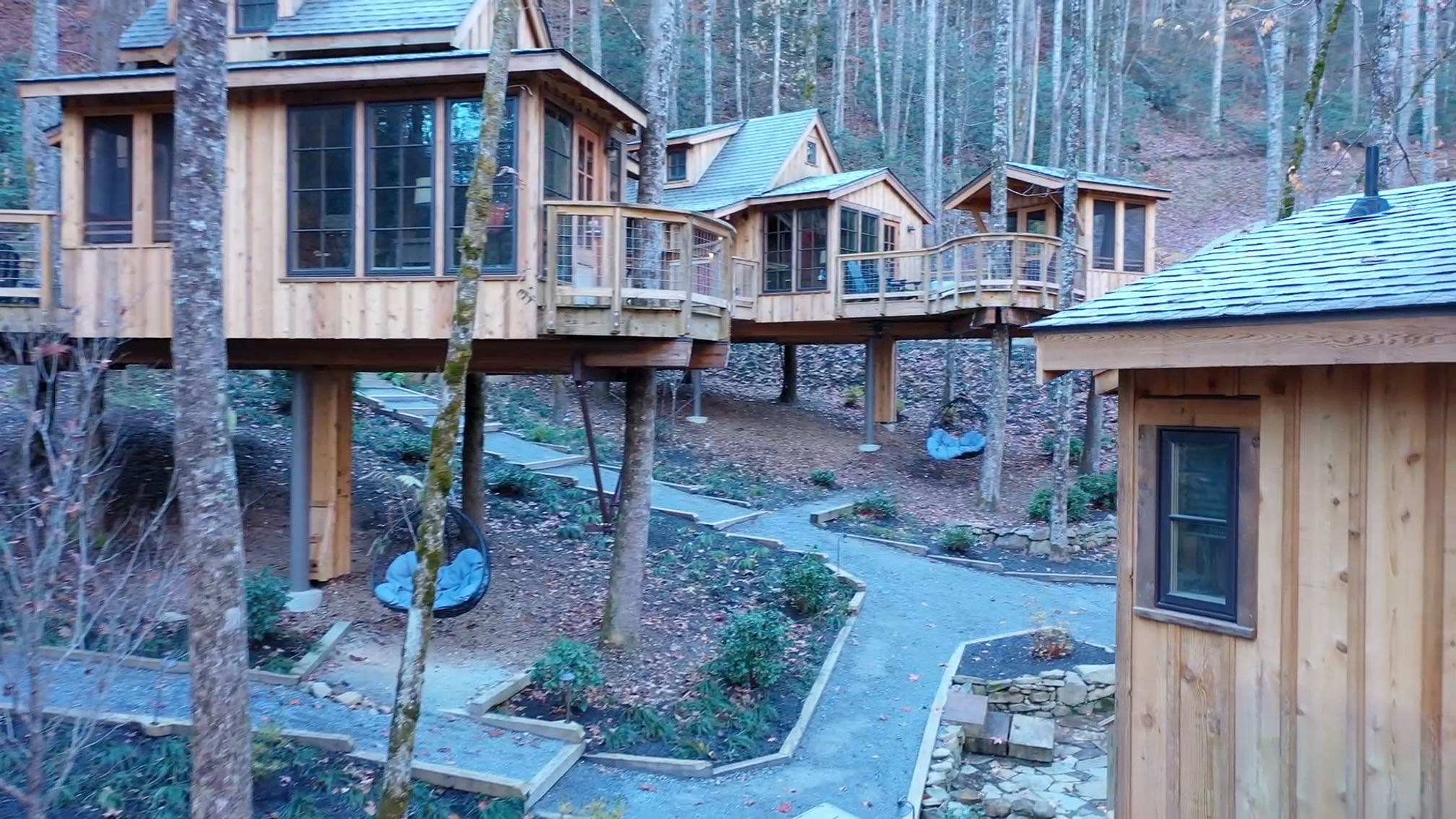 Treehouse Grove